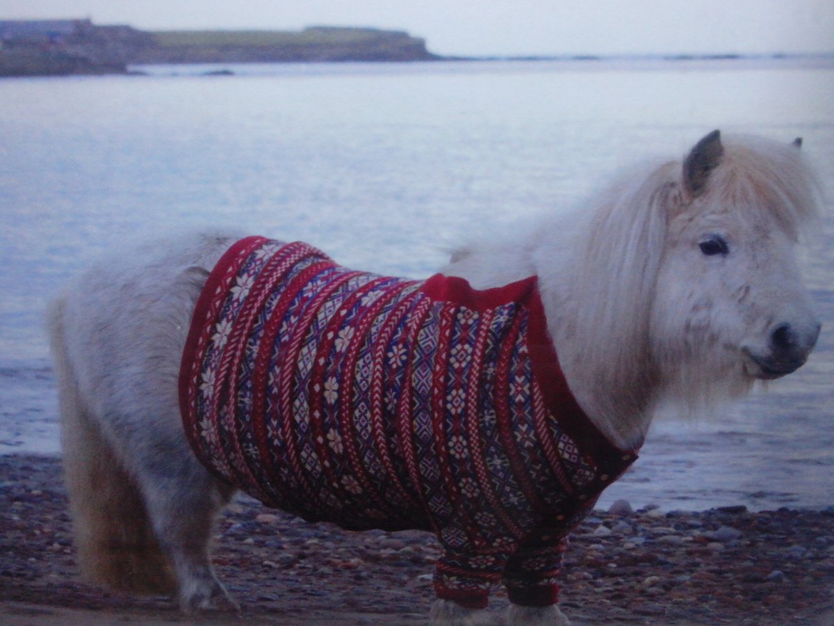 Dufour Yachts - Dufour 40