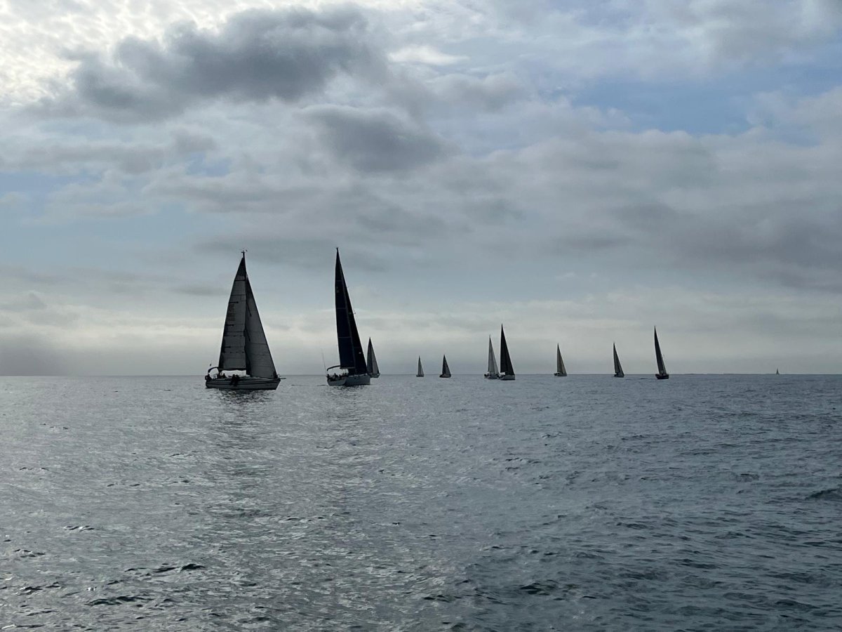 Barche nella baia durante la regata