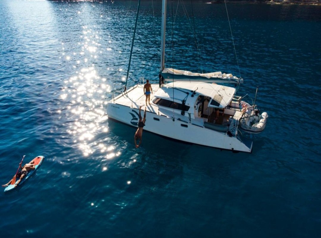 666220a670ce60.63557577