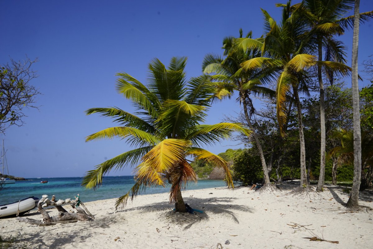 Explora las aguas del Caribe en un crucero de 10 días