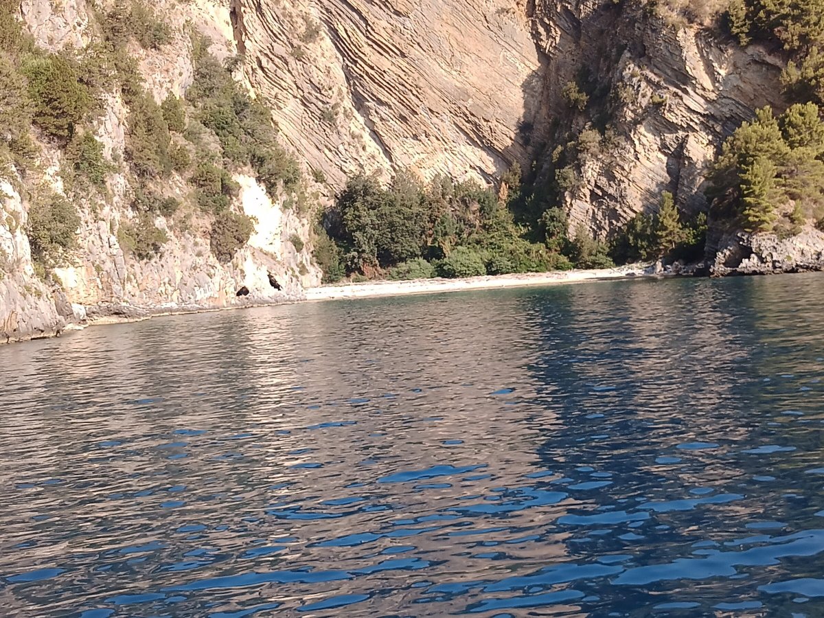 Scopri la magia di Capri dal mare