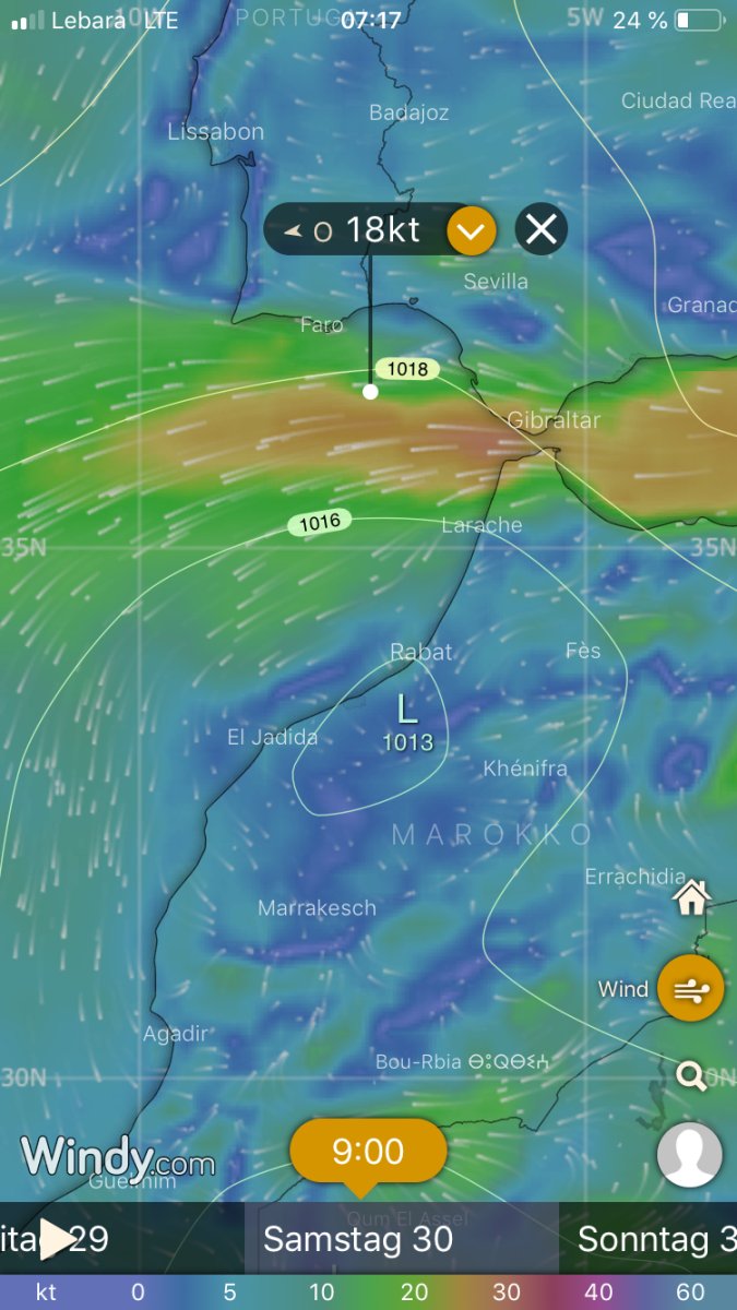 Segel auf dem Atlantik mit uns