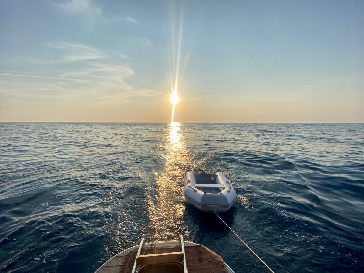 Viaggio in barca attraverso l'isola d'Elba: mare e fiori