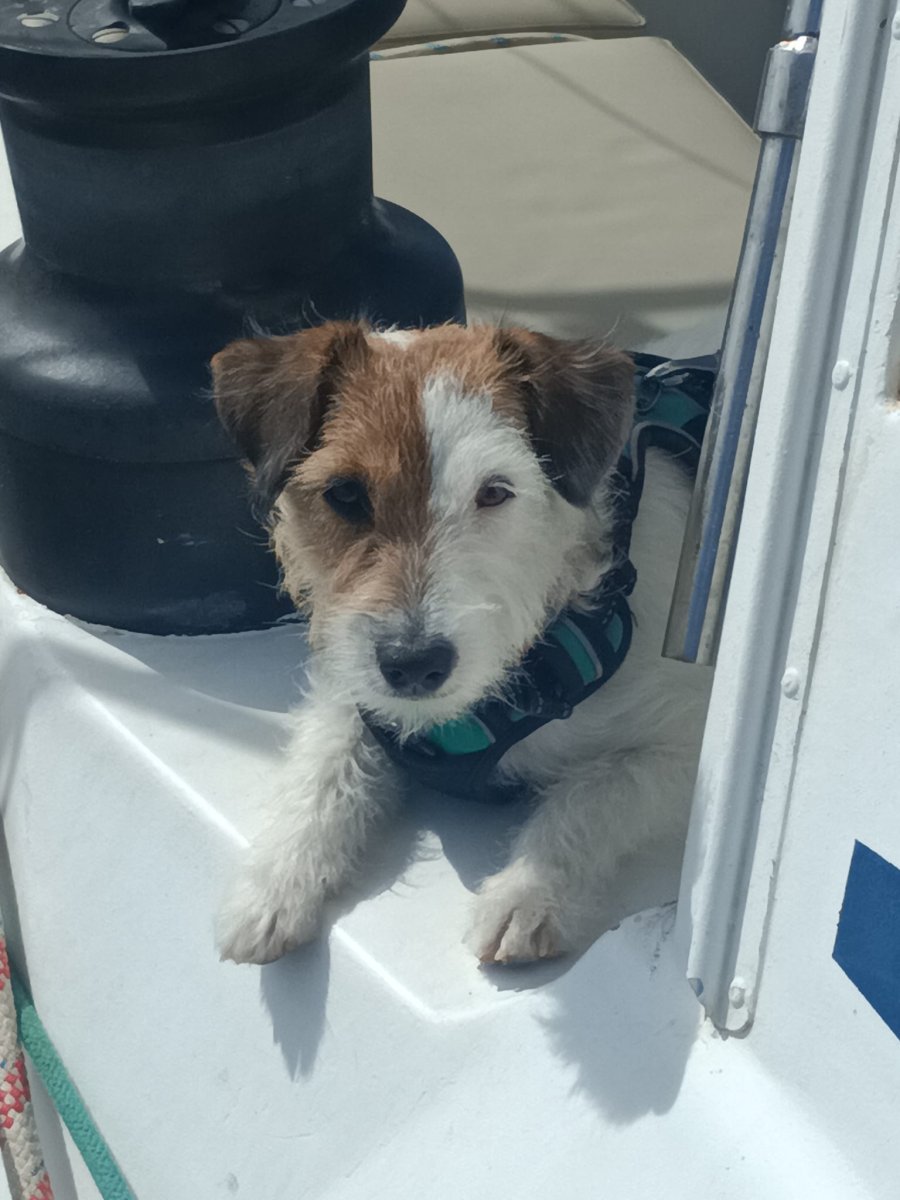 Familien-Segelurlaub auf einem 18m Ketch