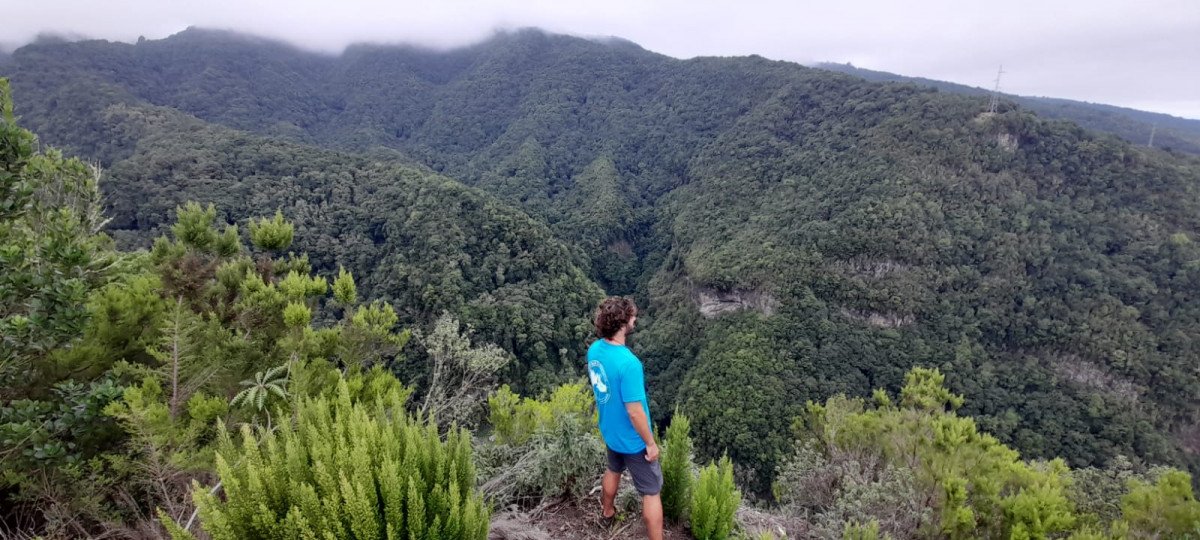 Viaje en velero por las Islas Canarias Occidentales