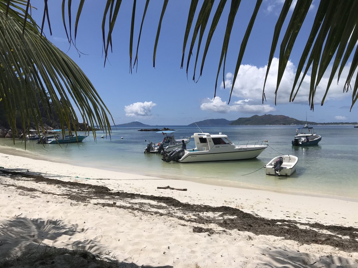 Seychelles catamaran adventure