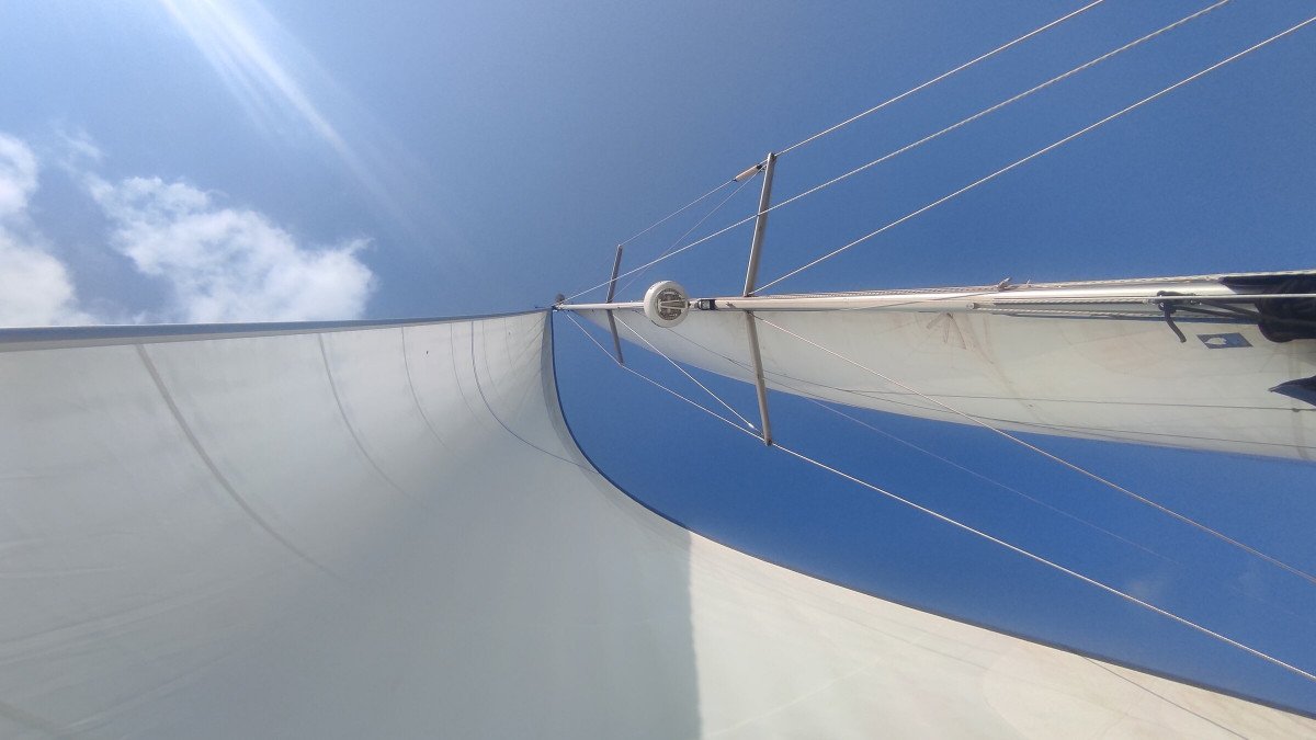 A boat cruise in the Ebro Delta during Easter