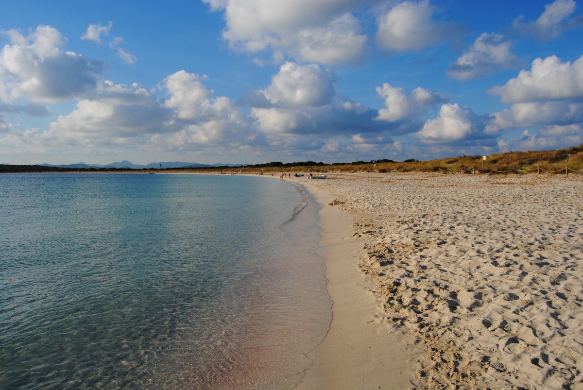 Explore Ibiza and Formentera on a sailing and diving cruise