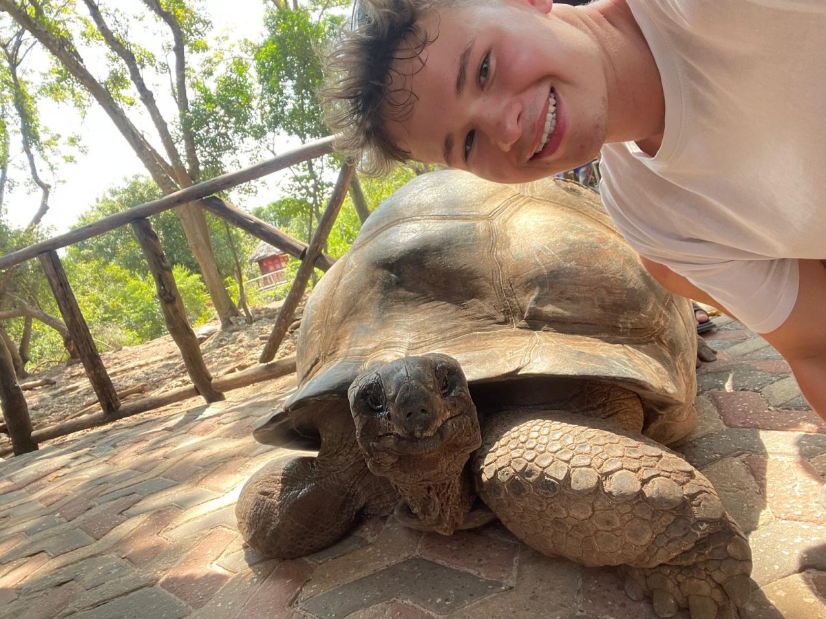 Zanzibar Katamarankabinenkreuzfahrt + Safari