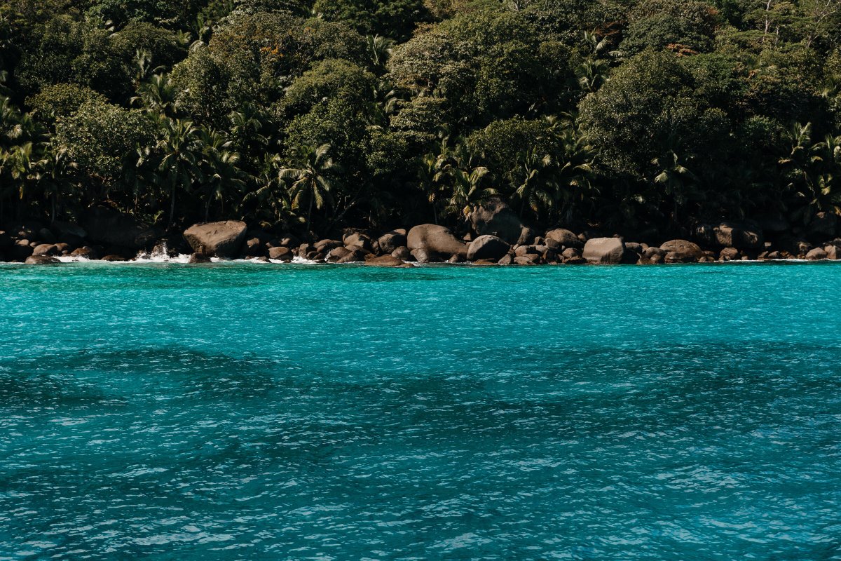 Seychelles en catamarán: 7 días de aventura