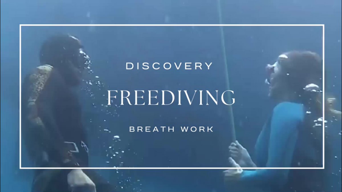 Navegando en el paraíso del Caribe