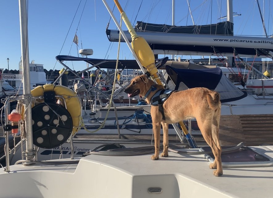 Navigation course in open sea