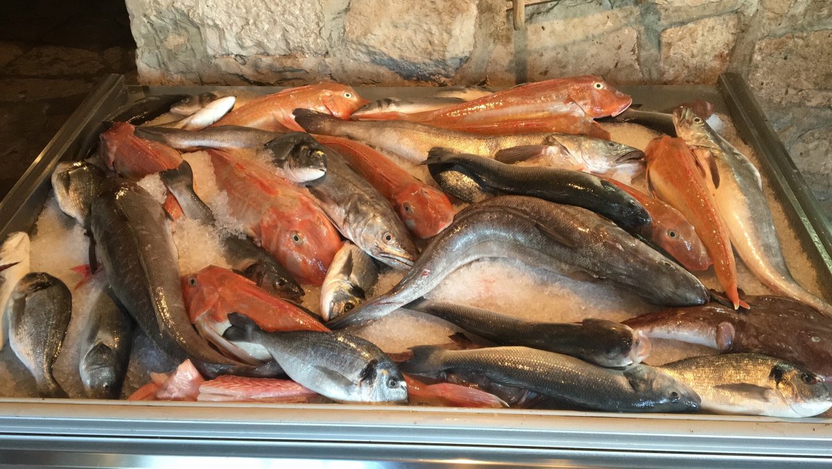 Vele e vento nell'Adriatico