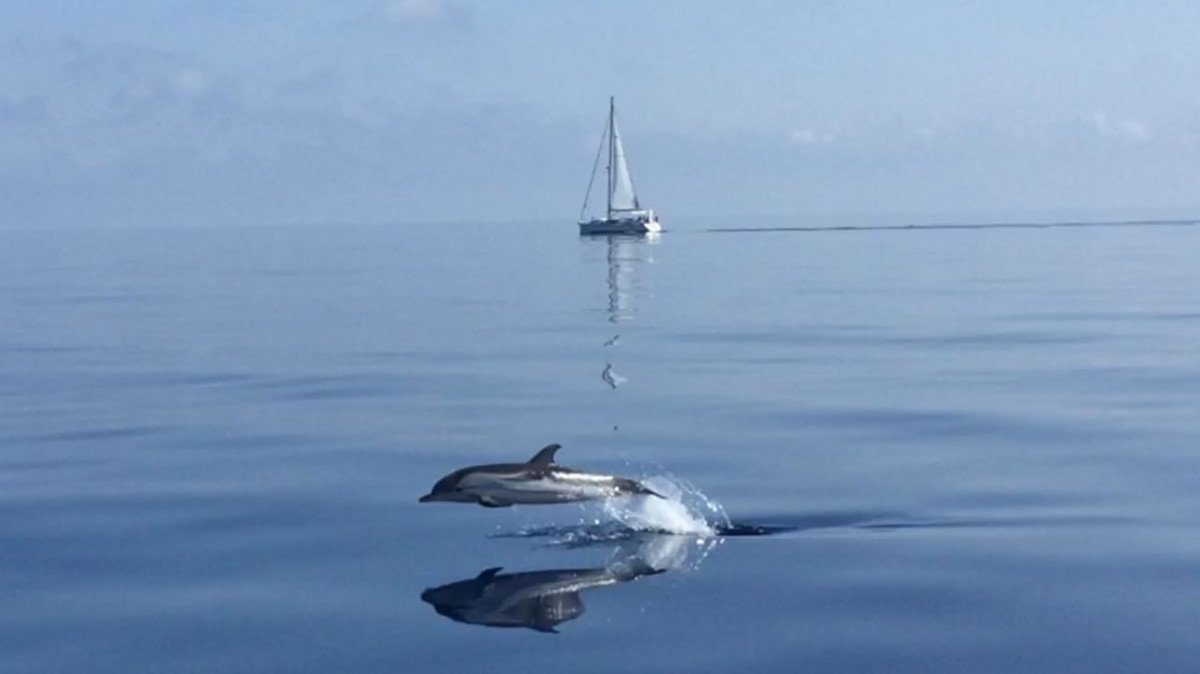 Disfruta de un día en el mar en un crucero por la Costa Azul