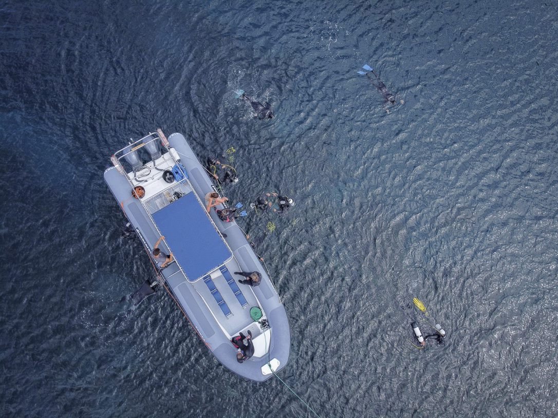 6794565e-773f-4f4d-b056-68fb6b862151