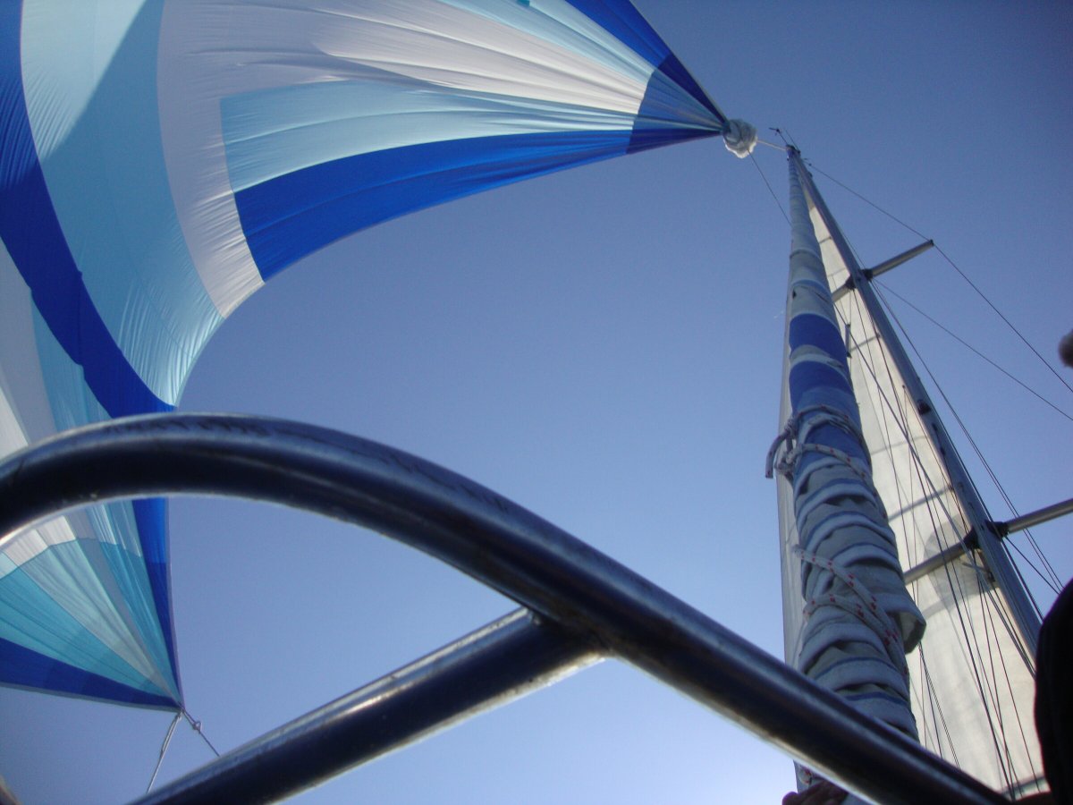 Discover Italian islands and bays on a charming boat tour