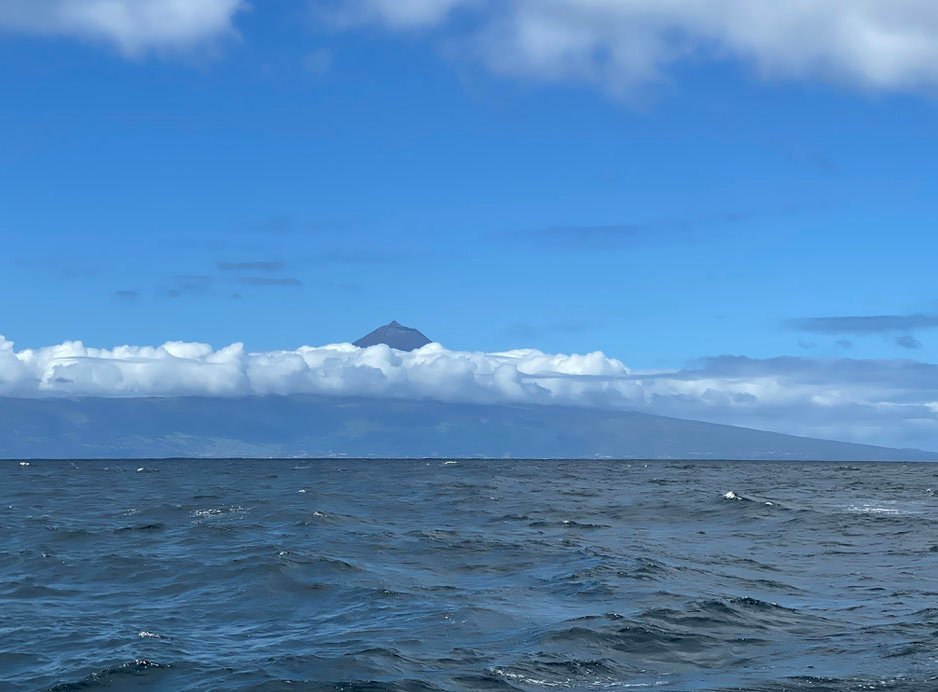 Bildschirmfoto 2025-05-05 um 13.56.55