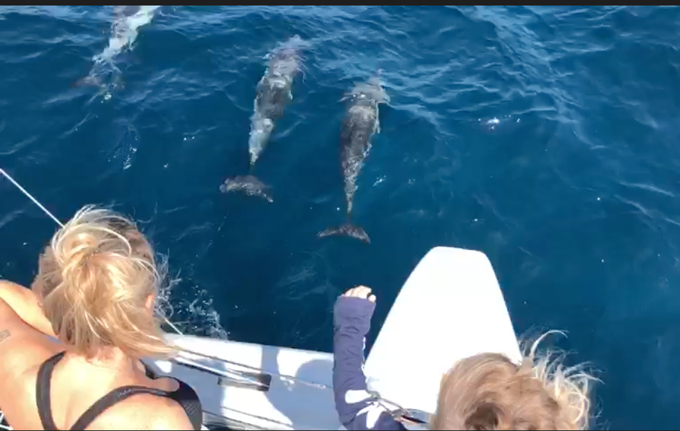 Catamaran Tour with Water Activities