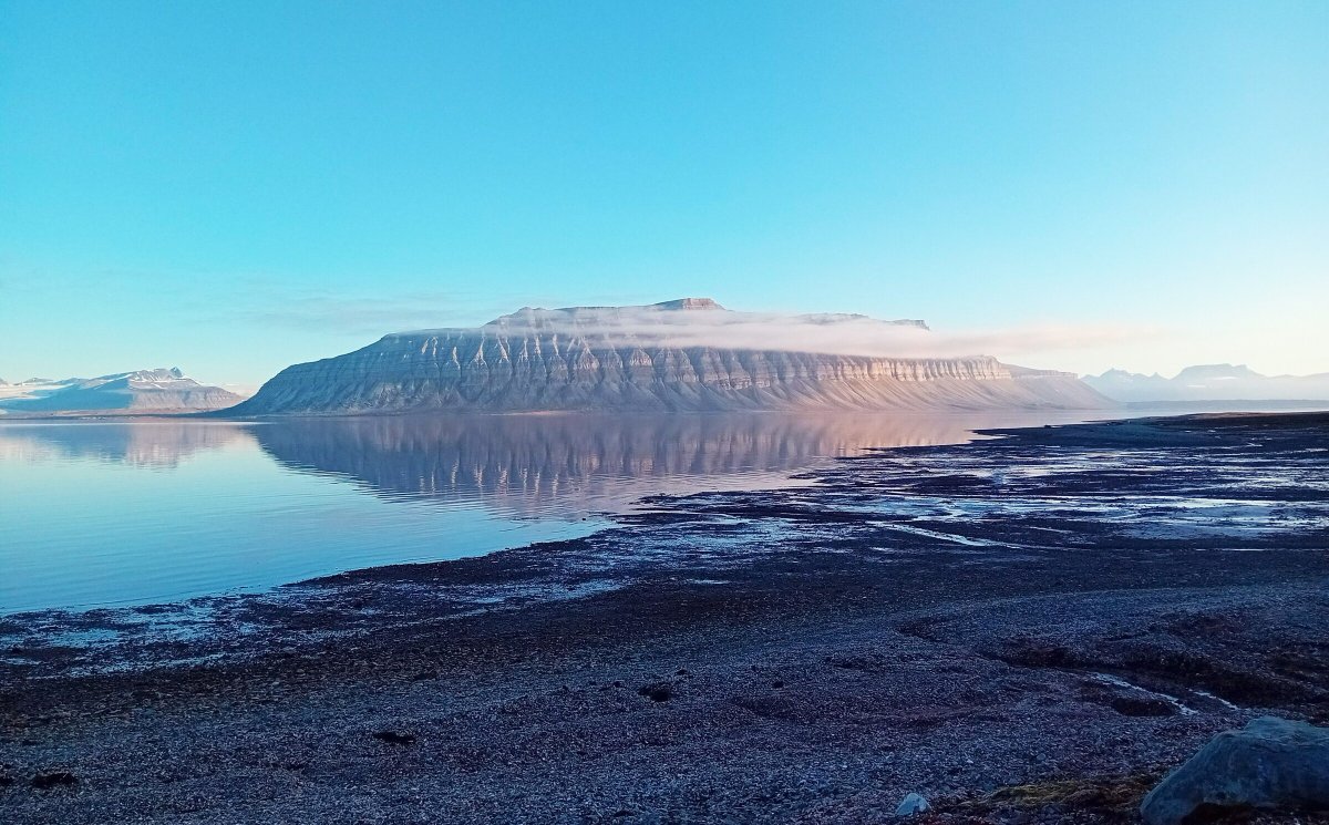 Navega y descubre Svalbard en un safari