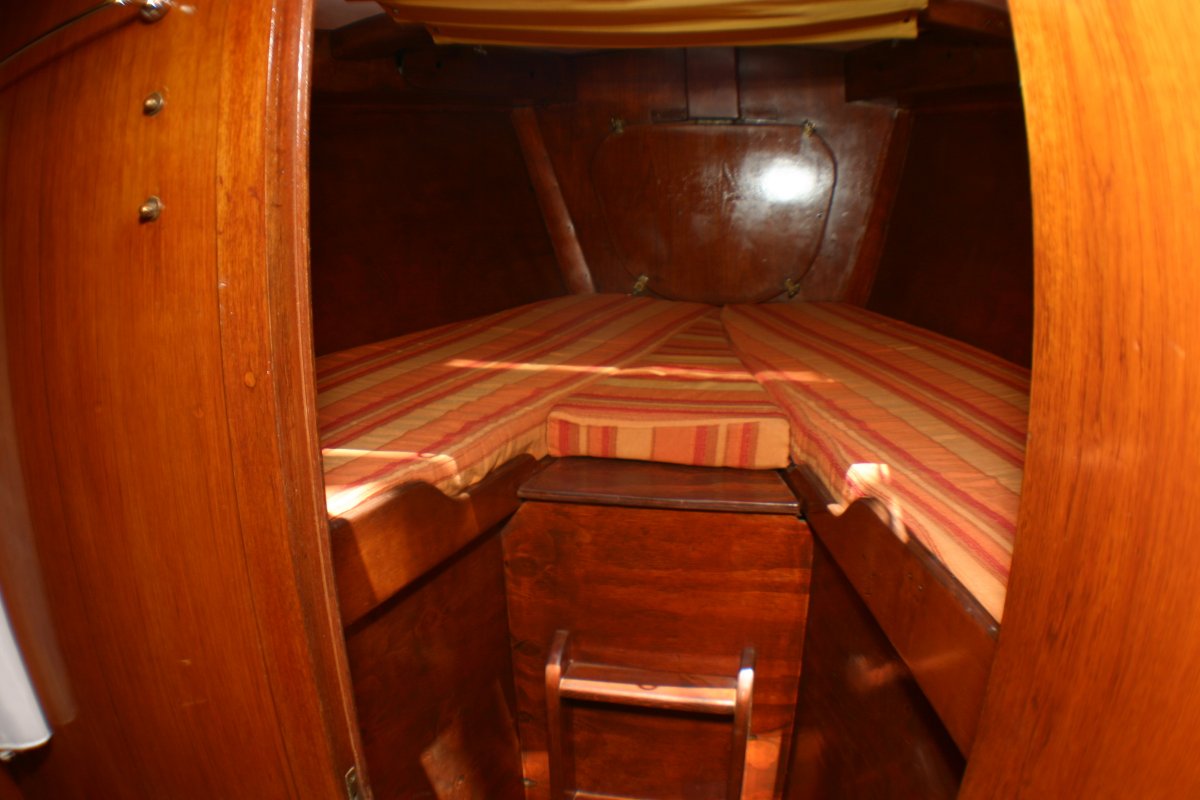 Tall Ship - Mimi - Koala 50