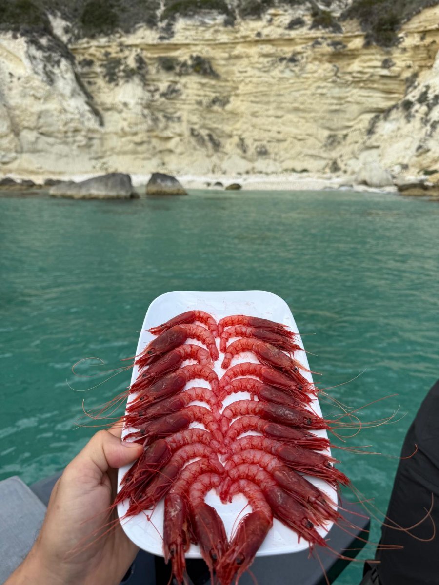 Scoprendo il golfo di Cagliari