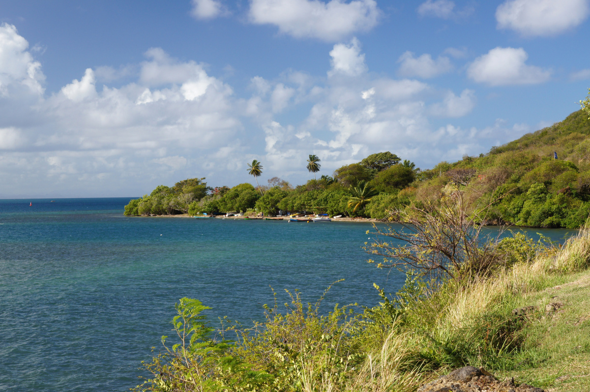 cruzar el atlantico a vela