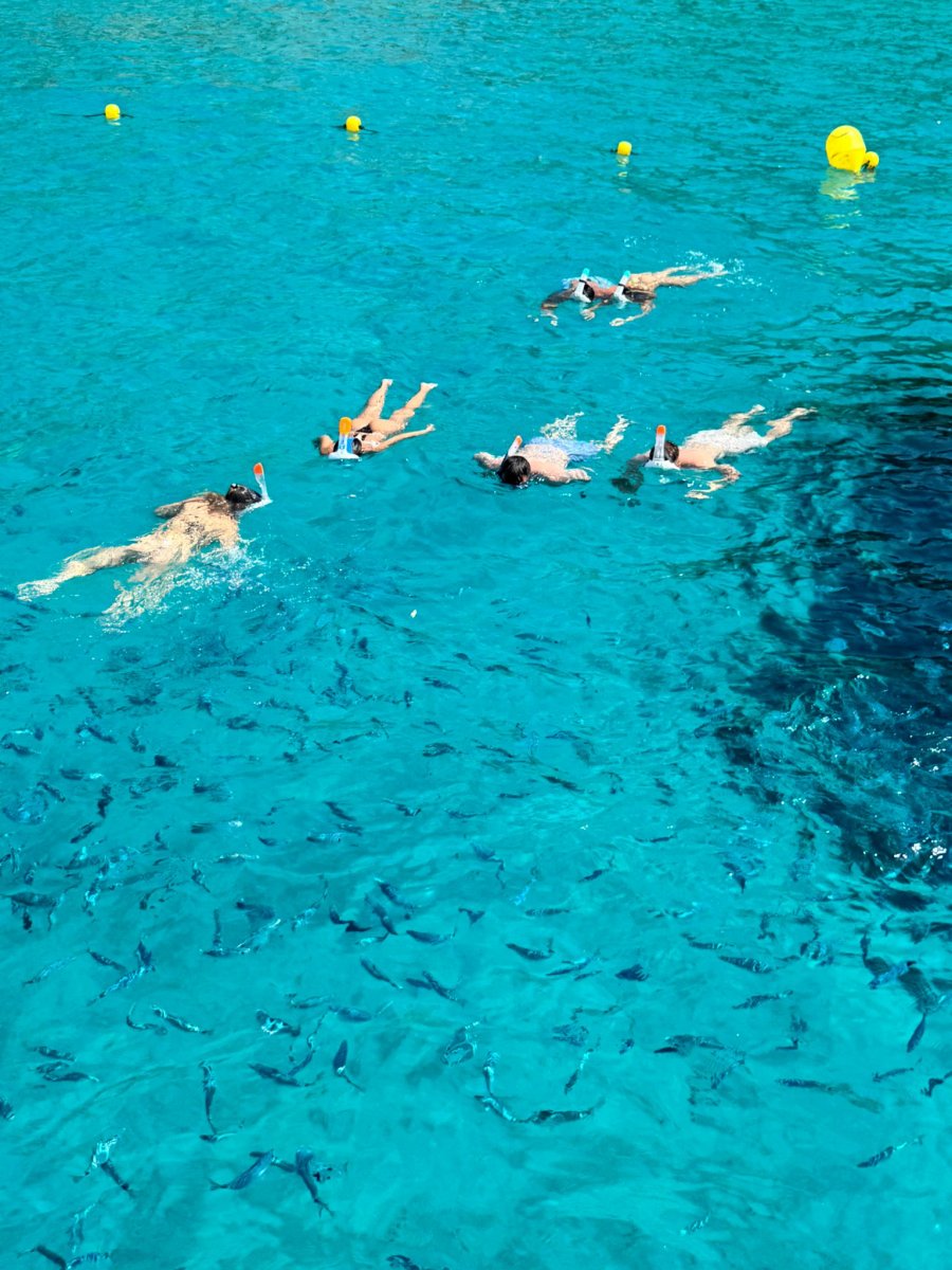 Jeanneau - 11 meters