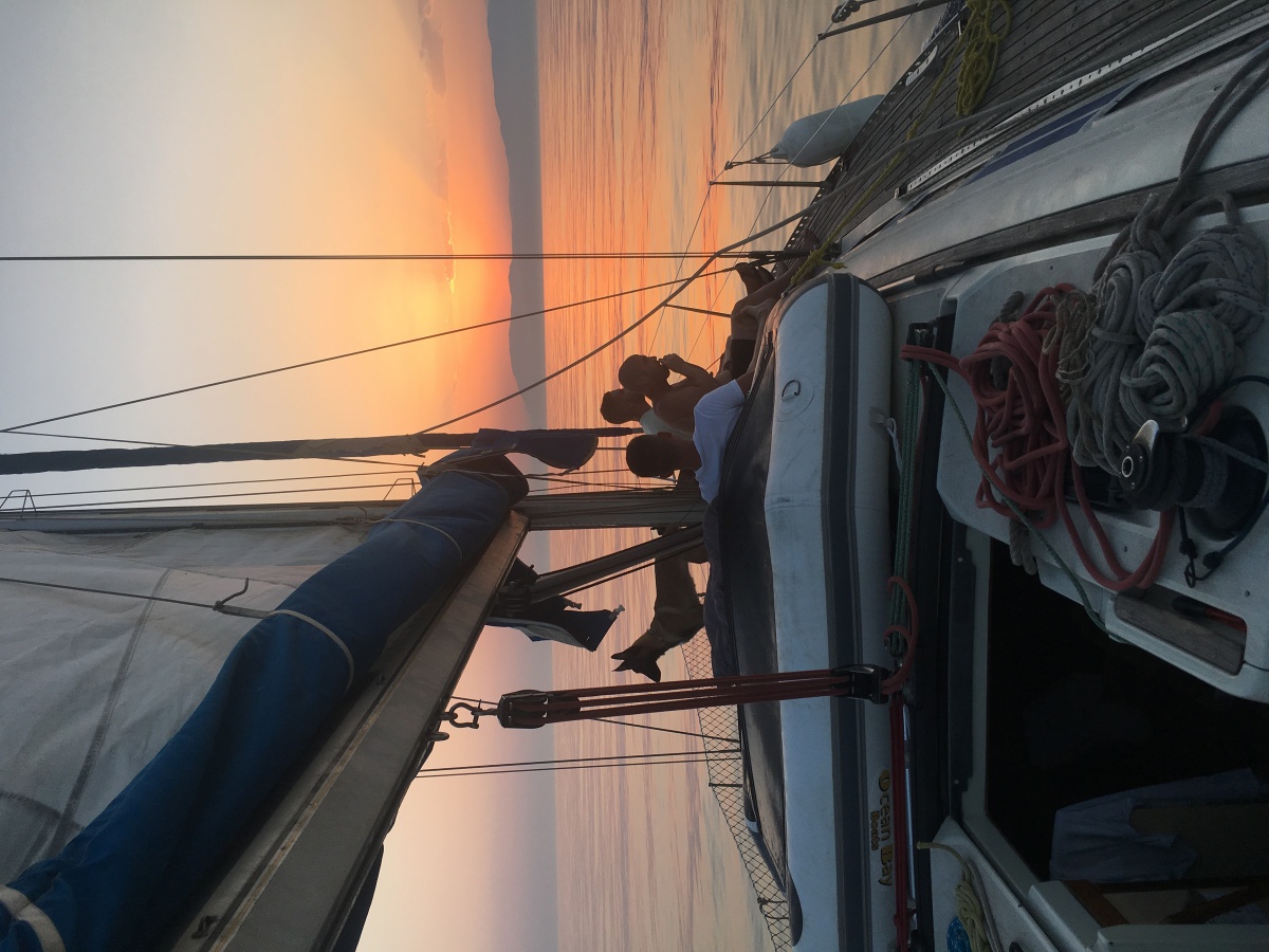 Boat Trip to Discover Cadiz and Granada