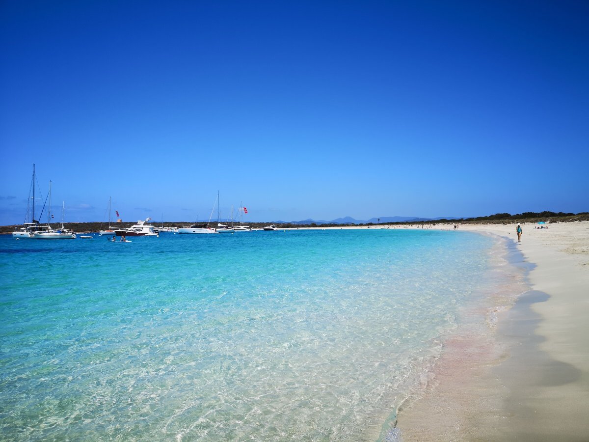 Enjoy the panoramic views of Ibiza from a sailboat