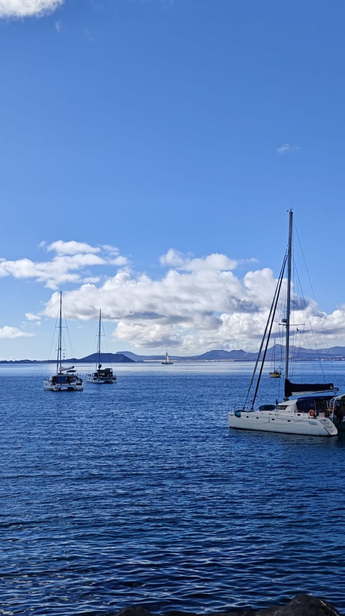 Explore the Canary Islands on a boat trip