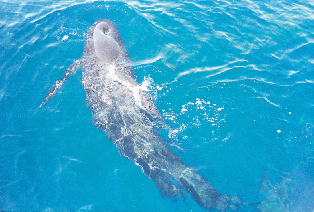 noleggiare barca egadi