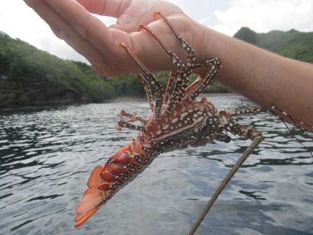 Segeln Sie zwischen den Inseln Sardiniens mit einer einwöchigen Kreuzfahrt