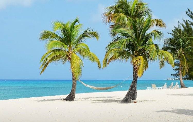 Embark on an Atlantic cruise adventure