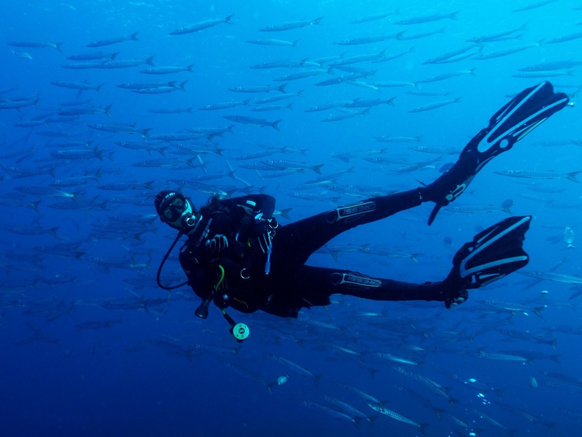 Boat trip for diving in Ibiza and Formentera