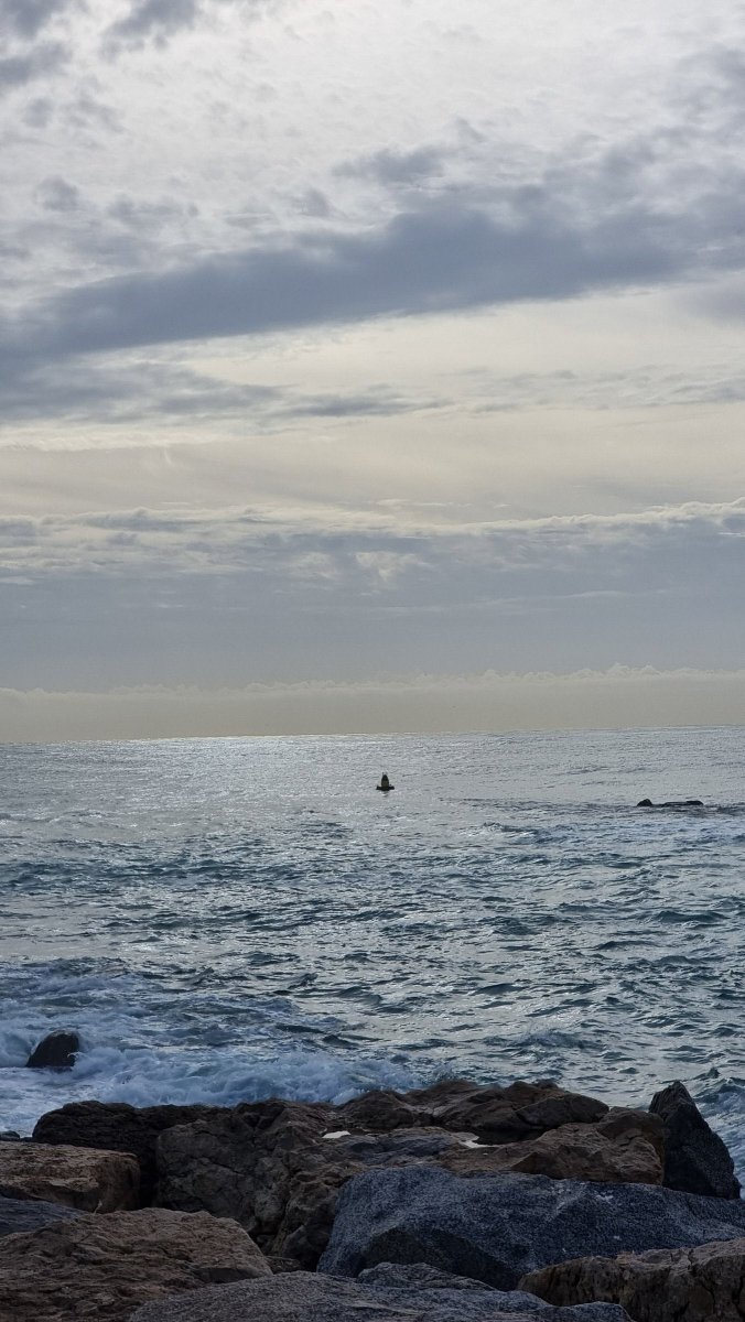 View of Badalona port from the boat