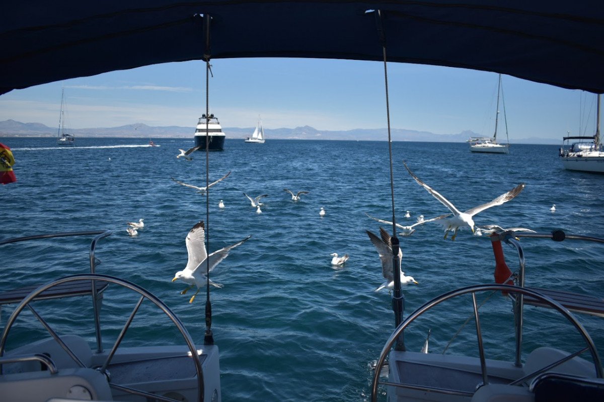 Impara a navigare in un corso di vela