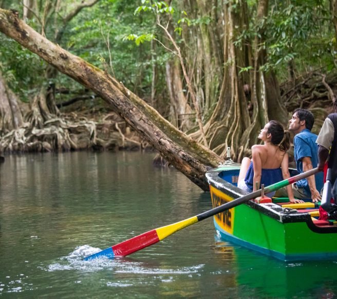 Entdecke die Geheimnisse des Meeres in Saint Martin