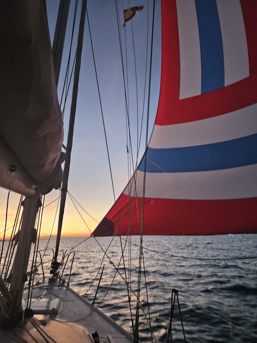 Sie werden die frische Brise und die Sonne auf dem Meer genießen.