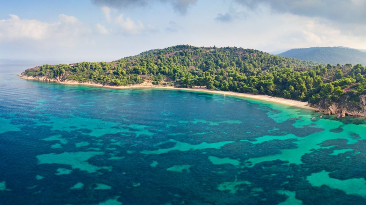 Aprende navegación en una lección intensiva