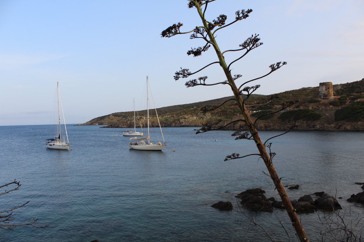 Explore the crystal-clear waters and white sandy beaches on a sailboat cruise