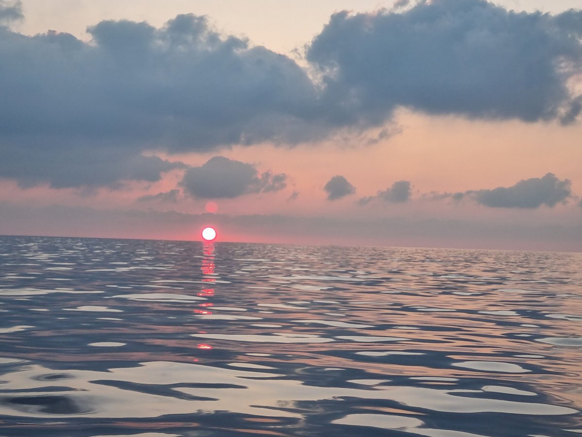 Ophiusa Regatta im Mittelmeer