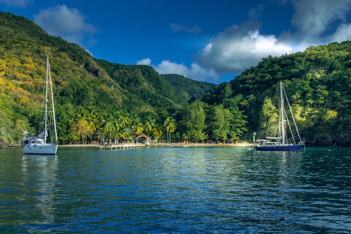 Scuola Oceanica: Mar dei Caraibi, Martinica a BVI