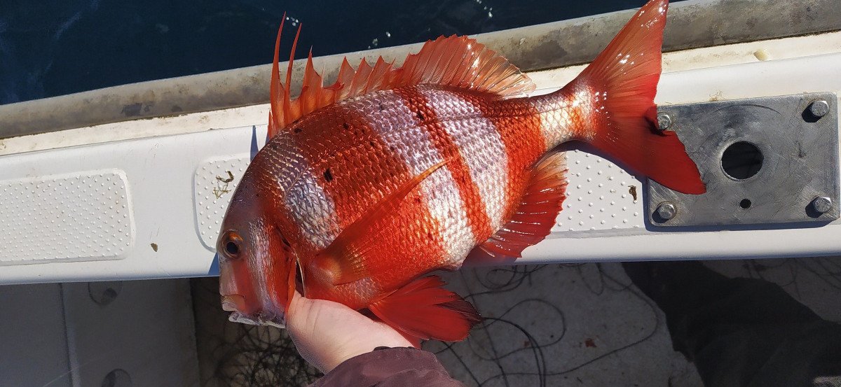 Fishing in Marine Sanctuary