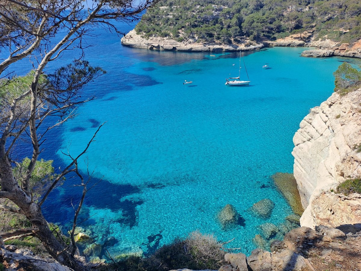 Gruppe von Menschen, die Apnoe im Meer üben, Reise von Barcelona nach Menorca