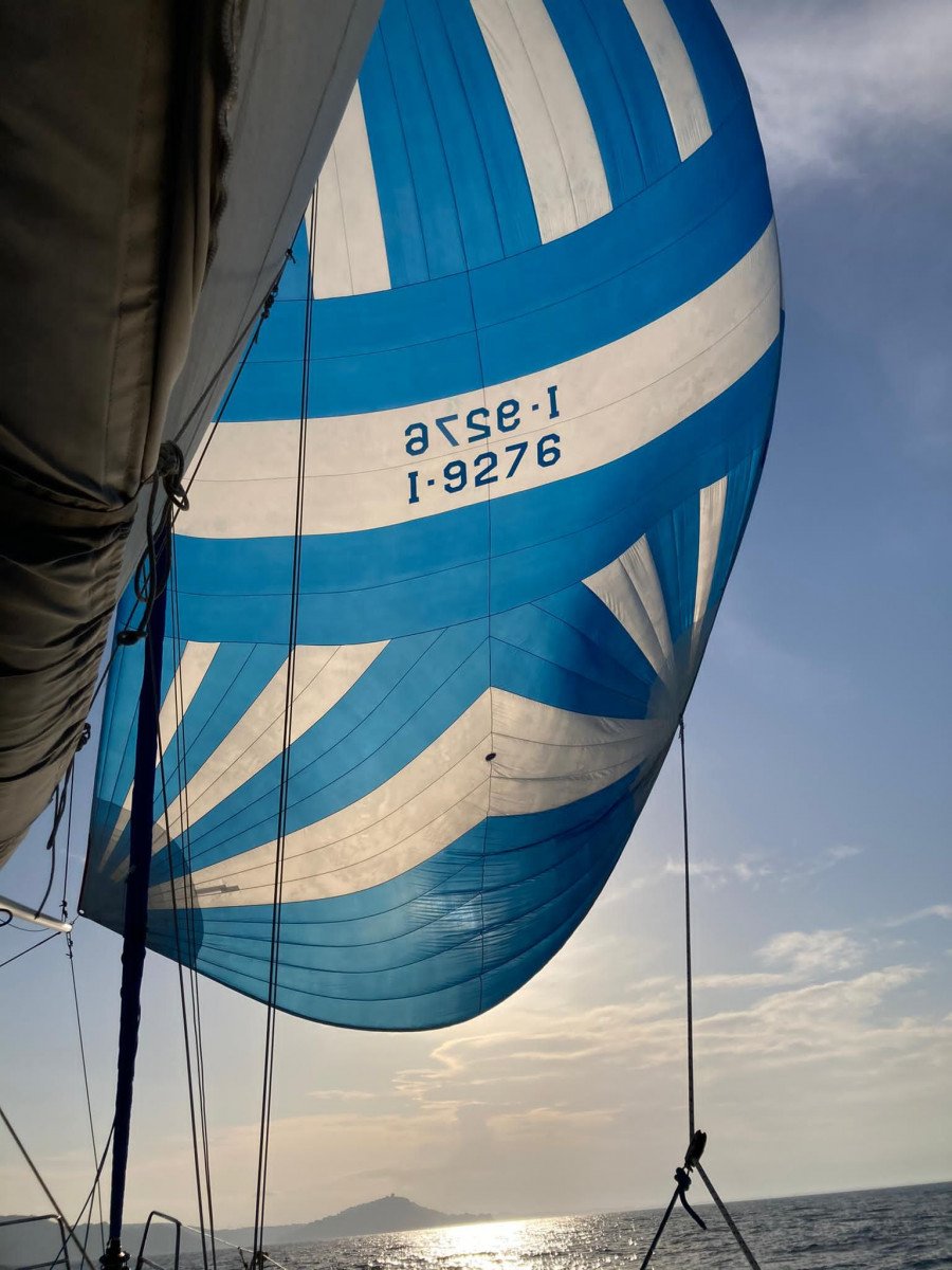 Explora paisajes espectaculares en un viaje en barco