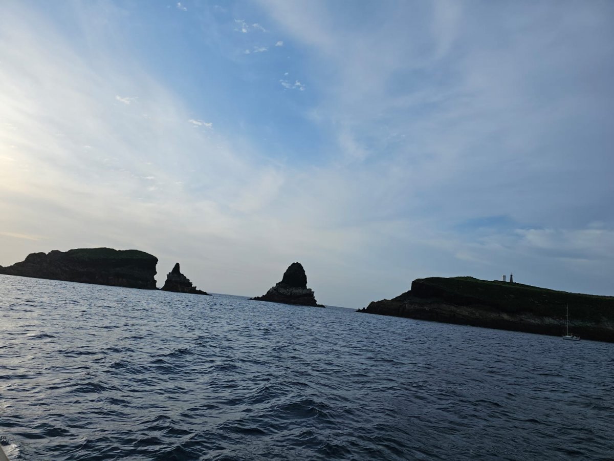 Explora las islas Columbretes en barco