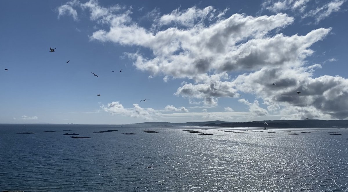 Da Vigo a La Coruña: navigando attraverso le Rías Baixas