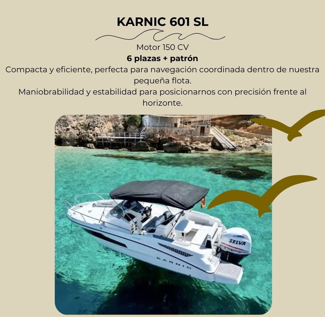 Descubrimiento de Mallorca desde el mar