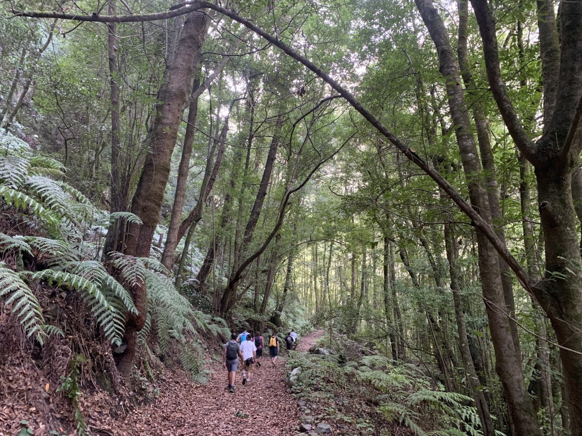 Sailing the Islands and Trekking the Volcanoes
