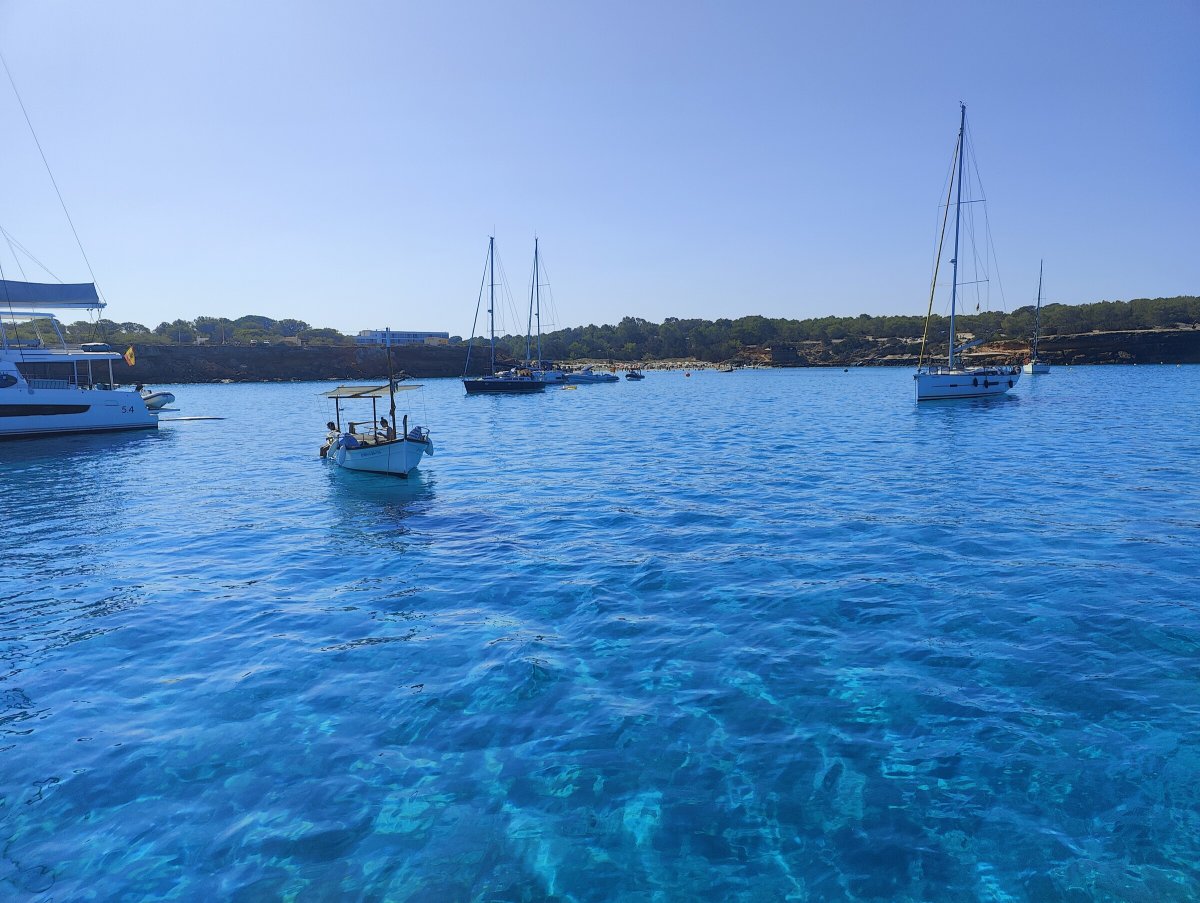 Vela che naviga in mare
